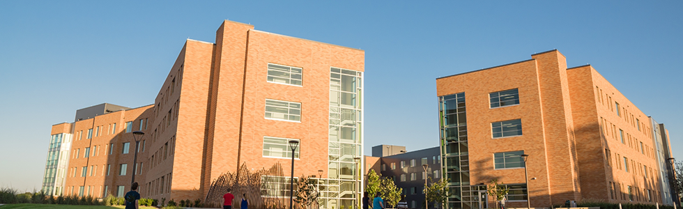 Outside view of university buildings