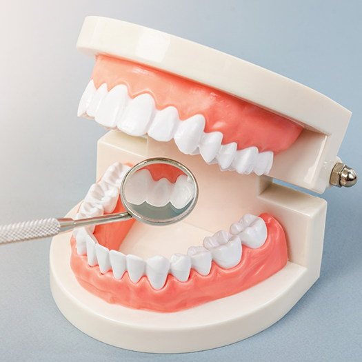 Dental mirror used to examine dentures